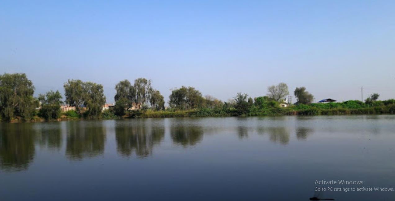 फराकिलो बनाइँदै बुलबुले ताल